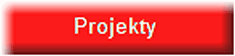 Projekty